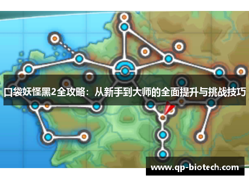 口袋妖怪黑2全攻略：从新手到大师的全面提升与挑战技巧